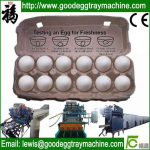 China Egg box package machine on sale