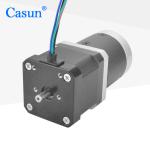 Bipolar Nema 17 Stepper Motor With Gearbox Casun Stepper Motor CE RoHS