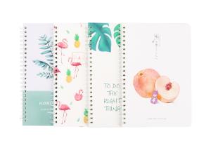 China Art diy Spiral Bound Book custom spiral binding book printing factory