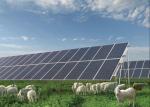 Big Size 350 Watt Polycrystalline PV Solar Panels