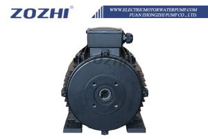 China 5.5 KW 7.5 HP Single Phase Electric Motor For Washing Machine Insulation Class F/H factory