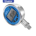 Digital Pressure Gauge High Precision 4-20mA Digital Pressure Gauge Meter