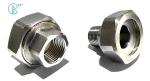 PPR Stainless Steel Inserts Female Threads Union Joint Fittings