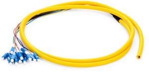 China 5ft LC UPC Fiber Optic Pigtail 12 Fibers Optic Jumper 1310 Nm Nm / 1550 Nm factory