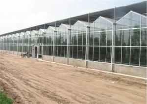 China Eco Friendly Materials PC Sheet Greenhouse 50 Micron UV Thickness Design factory
