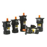 SELECTION OF SMALL AC GEAR MOTOR IK RK MICRO WORM ELECTRIC MOTOR