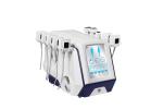 10 - 800W Body Slimming Machine 2MHz Fat Reduction Machine Portable
