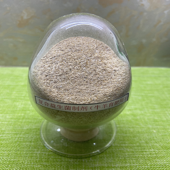 Guanidine Acetic Acid Bacteria Probiotics Powder Blend Effective Live Bacteria 2 Billion Ruminant Fatten Feed