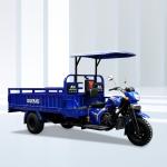 DAYANG 300cc Gas Powered Trike Trimoto Carga Cargo Tricycle for Open Transportat