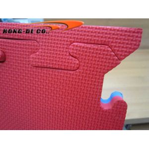 Double Colour High Density Eva Gym Foam Floor Mat