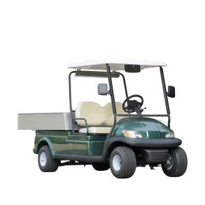 China Green Color Golf Buggy With Aluminum Cargo Box factory