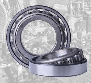 China CE Single Row Cylindrical Roller Bearings Carbon Steel With P6 Precision Level factory