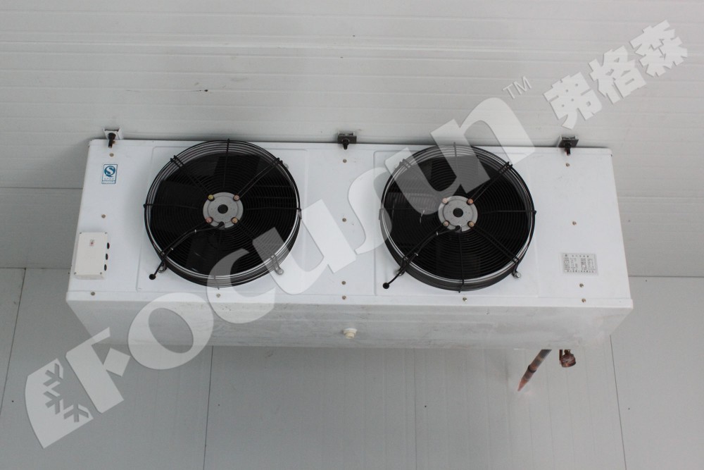 10-15cm Panel Thickness Walk-In Cooled Storage Blast Freezer Unit Discount