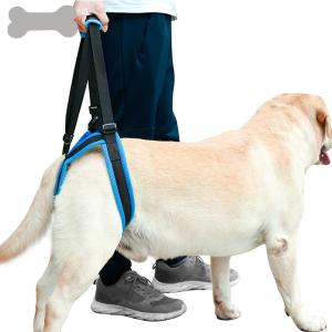 China Auxiliary Belt Leg Support Pet Harness Leash For Disability Injury High Aged Dog factory