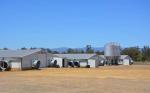 Prefabricated Metal Steel Poultry House Industry Steel Structure