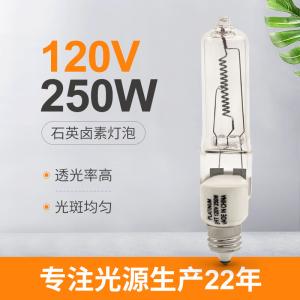 China Mini Can E11 120v 250 Watt Quartz Lamp Dimmable Halogen Light Bulbs factory