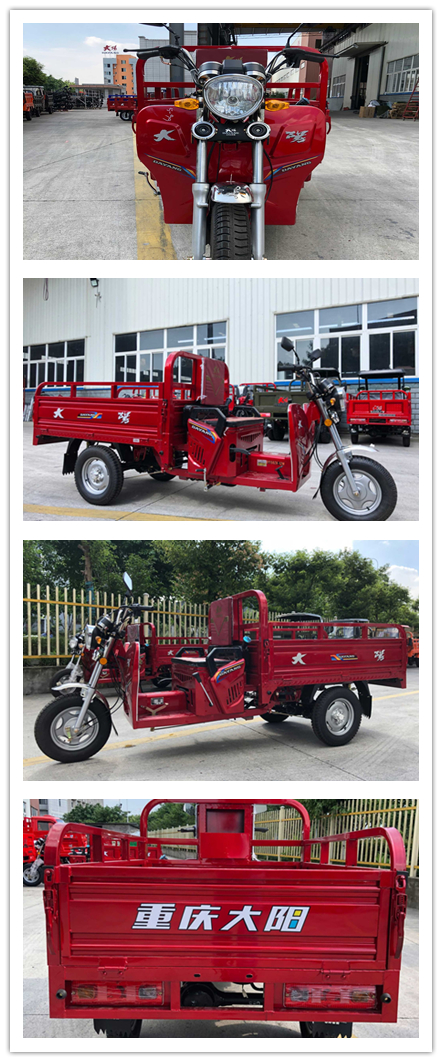 Red 201 250cc Petrol Gasoline Passenger 4.00-12 55km/h 800W CN CHO DAYANG Three Wheel Tricycle Air Cooled Engine