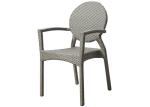 Round Back Designed Outdoor Rattan Dining Chair Patio Garden Furniture