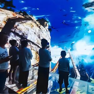 China Customization Multimedia 5 Fold Large Screen Holographic Hanging Glass Cinema factory
