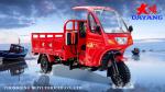 250CC Petrol Gasoline Closed Three Wheels Motorcycle for Heavy Duty Cargo