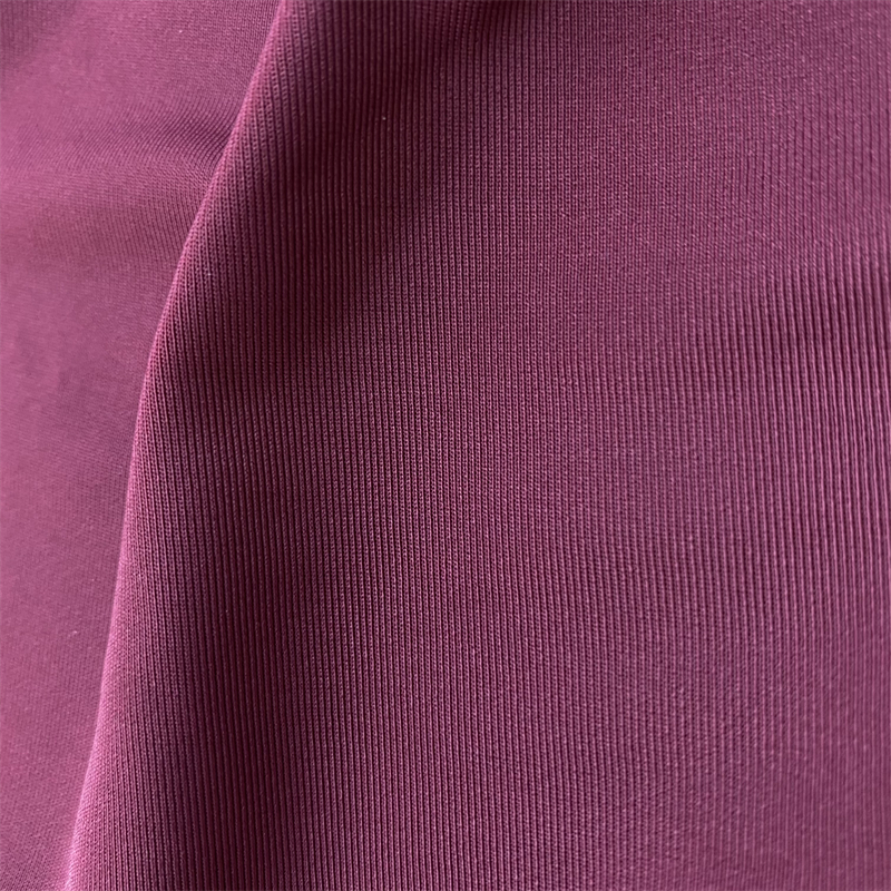 170-240gsm Four Way Stretch 55D Knitted Polyester Spandex Fabric for Yoga Clothes and Swimwear