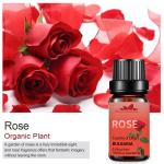 10ml 100% Organic Natural Rose Essential Oil Body Massage SPA Aroma OEM MSDS