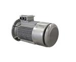 IP55 Ultra High Efficiency Electric Motor , YE4 Series 3 Phase Induction Motor