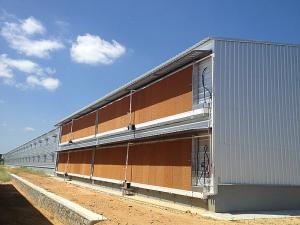 China Customizable Eco Friendly PEB Steel Building Pre Engineered Steel Structures factory