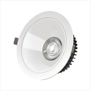Round Recessed LED Downlights 36w High Power With Eaglcrise Driver