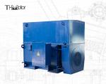 IC611 6000kw 3 Phase Asynchronous Induction High Voltage AC Motor For Blower