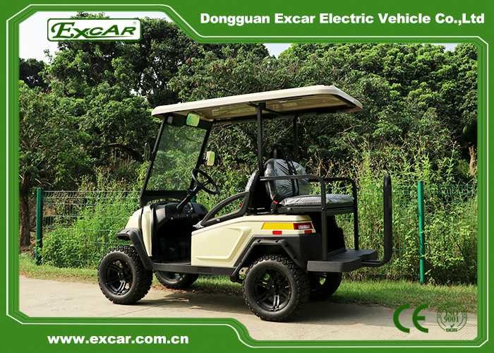 Electric 2 Seats Golf Cart Hunting Buggies With Flip Seats