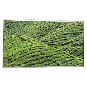 China M270HGE-L10 original new A grade 27 inch LCD Display factory