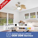 Small 30 Inches Ceiling Fan with Light and Remote 6 MDF Blades 6 Speeds 10 Year