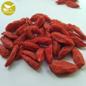 China Hot Sale Wolfberry Medlar High Quality Bulk Ningxia Chinese Organic Wolfberry/Goji berry/red medlar factory
