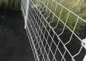 China Boundary Wall Powder Coated 50X200 Welded Wire Mesh Fence factory