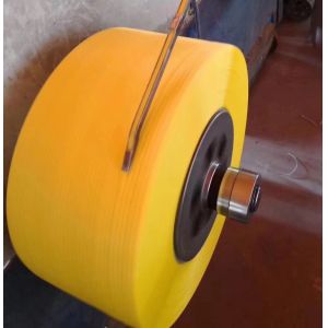 Customizable And Durable PP Strap Manufacturing Machine With Single Double Screw