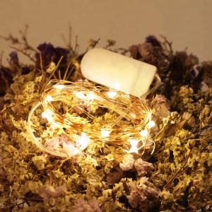 China Mini Copper Wire Led Fairy Lights Led Outdoor Party String Lights 6V factory