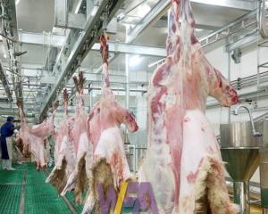 China Stainless Steel 304 Slaughterhouse Cow Machine Polyurethane Rubber Hair Plucking Fingers factory