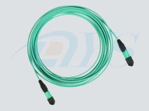 China 8 Fiber Singlemode MPO/MTP to SC Ribbon Ruggedized cable factory