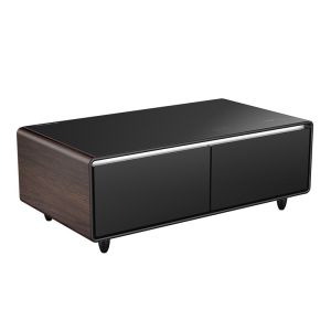 Compact 220V Primst Small Refrigerator Mini Bar Fridge Thermoelectric Retro