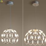 Home/Hotel Metals Art Black LED Personality Simple Modern Pendant Light