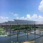 Precast Pile Single Post Solar Ground Mount Systems For Fishing - Light