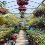 Waterproof Flower Greenhouse Multi Span Greenhouse With Strong Load Bearing