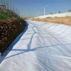 High Strength Geosynthetics Material Highway Paving Road Constrution PP PET