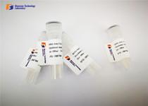 China Recombinant Glutathione S Transferase Tag Antibody from Antigen Affinity Purification factory
