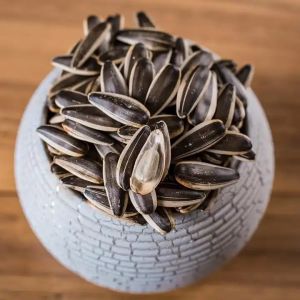 Enhance Your Snacking Experience with Natural Sunflower Seeds T5