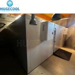 Sliding Door Fish Meat Vegetables Cooler Freezer Chiller Cold Room 220V/380V