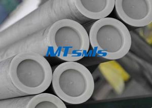 China Austenitic ss seamless pipes , steel round tube ASTM A312 / ASME SA312 TP317 factory