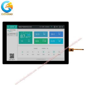 10.1 Inch Thin Film Transistor Screen 1280*800 Resolution IPS LCD Display With