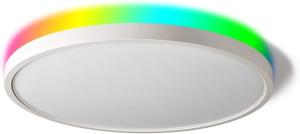 China 28W Modern RGBIC Surface Mounted Ceiling Light Fixture White Metal factory